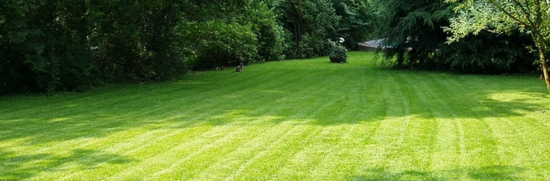 What a lawn by heipei is licensed under CC BY-SA 2.0.