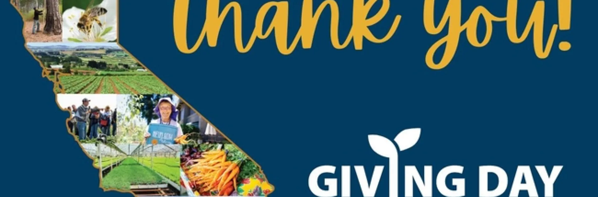 Giving Day Thank you!