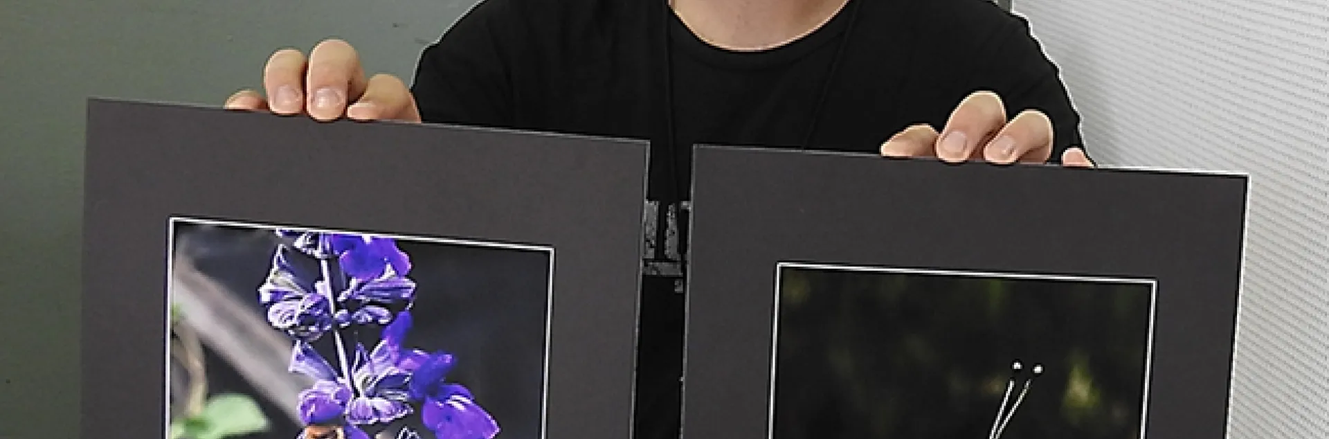A clerk at McCormack Hall, Solano County Fair, displays two junior division photos: one of a honey bee by Jesse Means of Dixon, and the other of a orange-tip butterfly by Regan Van Tuyl of Dixon. (Photo by Kathy Keatley Garvey)