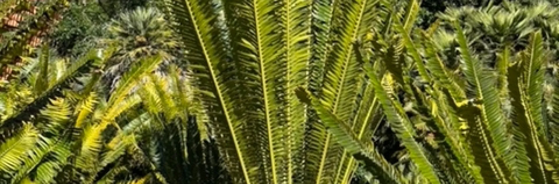 photos by Erin Mahaney