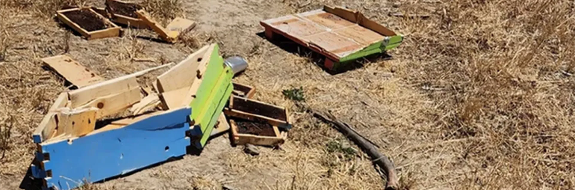 Remnants of the 40 bee colonies destroyed when a truck driver, under cover of darkness, deliberately drove over them last week in Winters. They belonged to Caroline Yelle, owner of Pope Valley Queens.