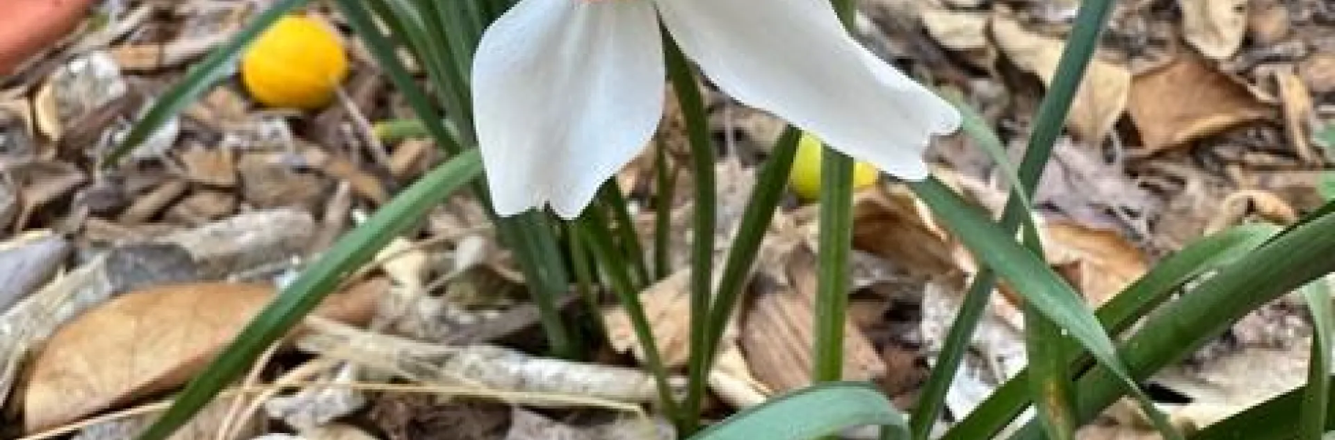 photo by Erin Mahaney