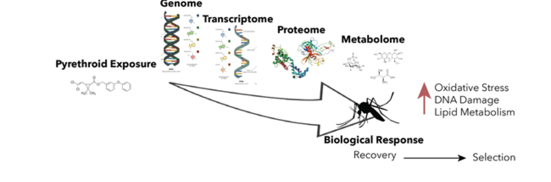 An illustration from the exit seminar of Erin "Taylor" Kelly.