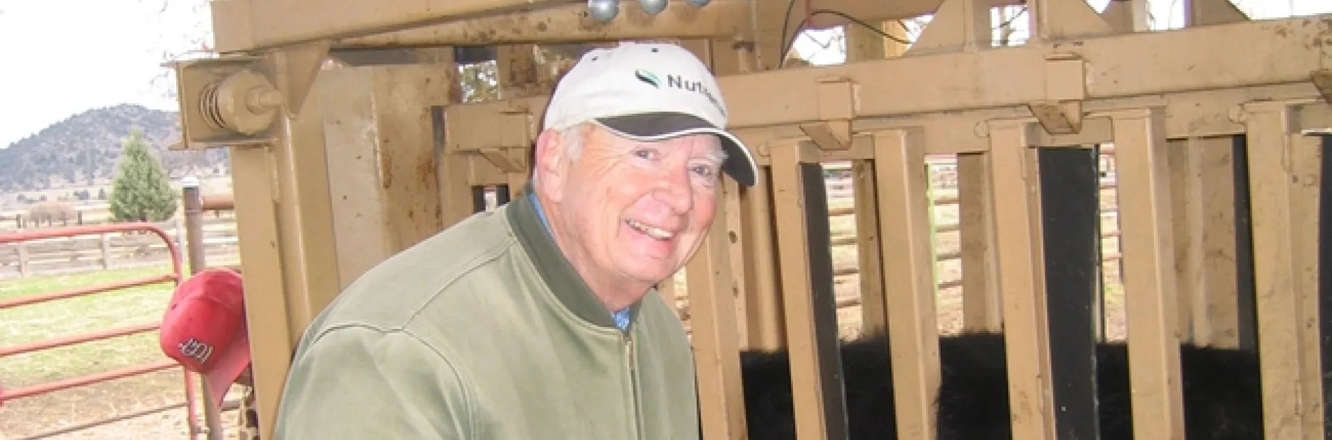 Man wearing ball cap and a jacket works next to a pen holding a cow.