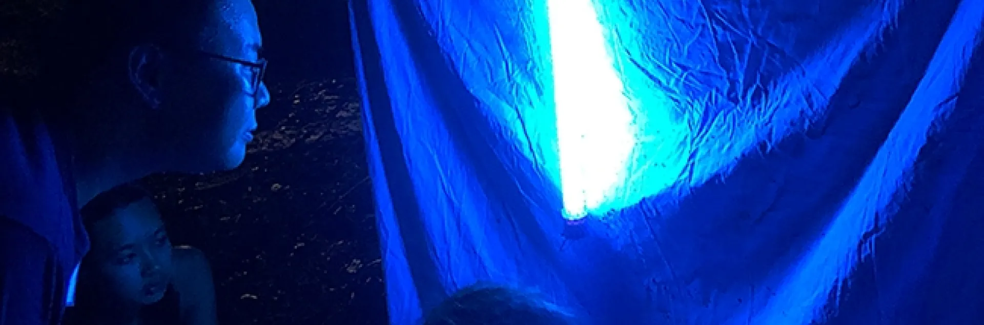 The blacklighting display at the Bohart Museum of Entomology's open house. (Photo by Kathy Keatley Garvey)