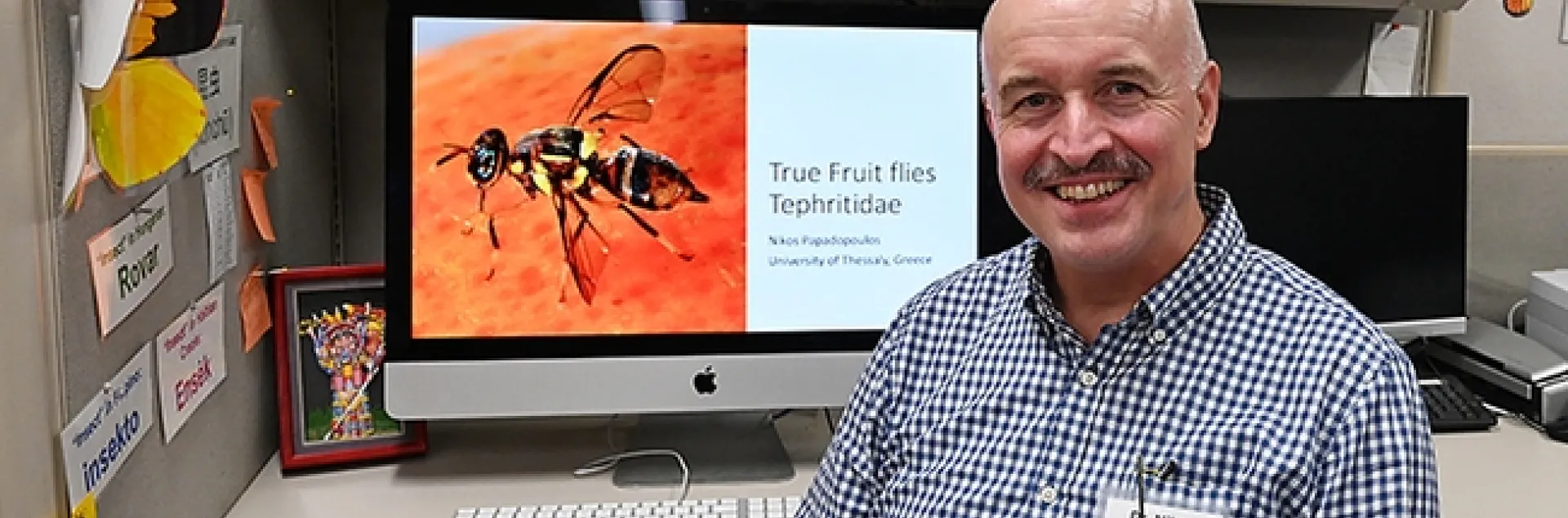 Tephritid fruit fly expert Nikos Papadopoulos of Greece showed a video on tephritid flies at the Bohart Museum of Entomology. He did postdoctoral work at UC Davis. (Photo by Kathy Keatley Garvey)