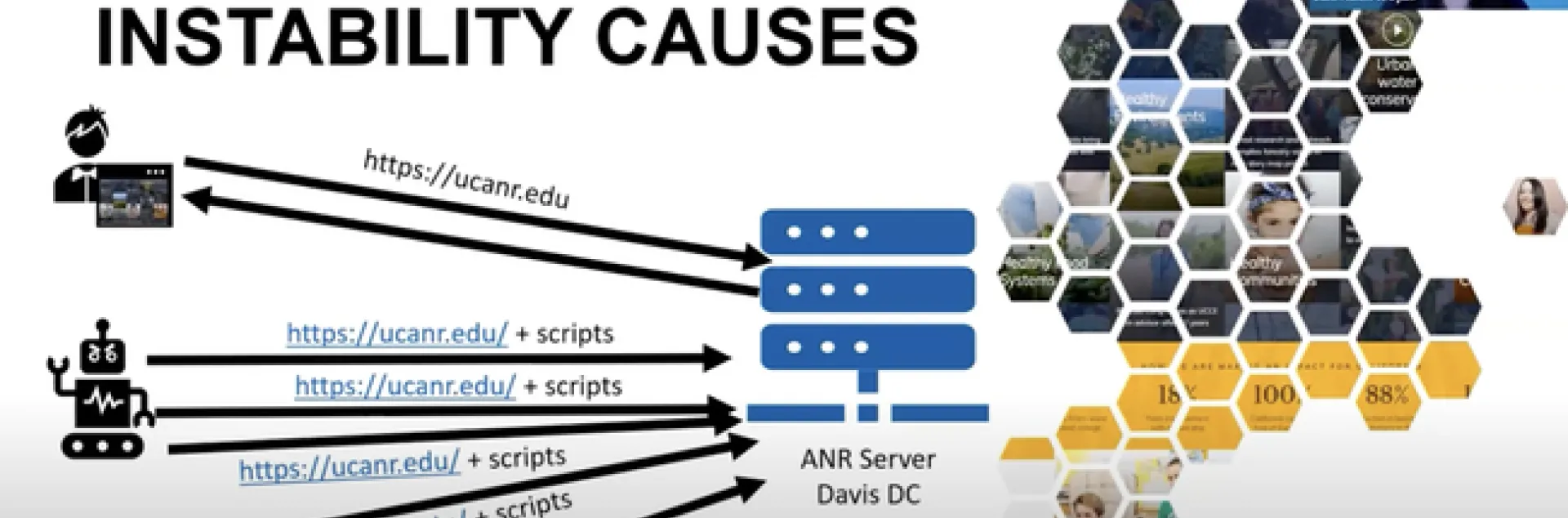 Instability causes: depiction of bots bombarding the ANR server with viruslike scripts. Her image is in the upper right corner as she speaks during the Zoom presentation.