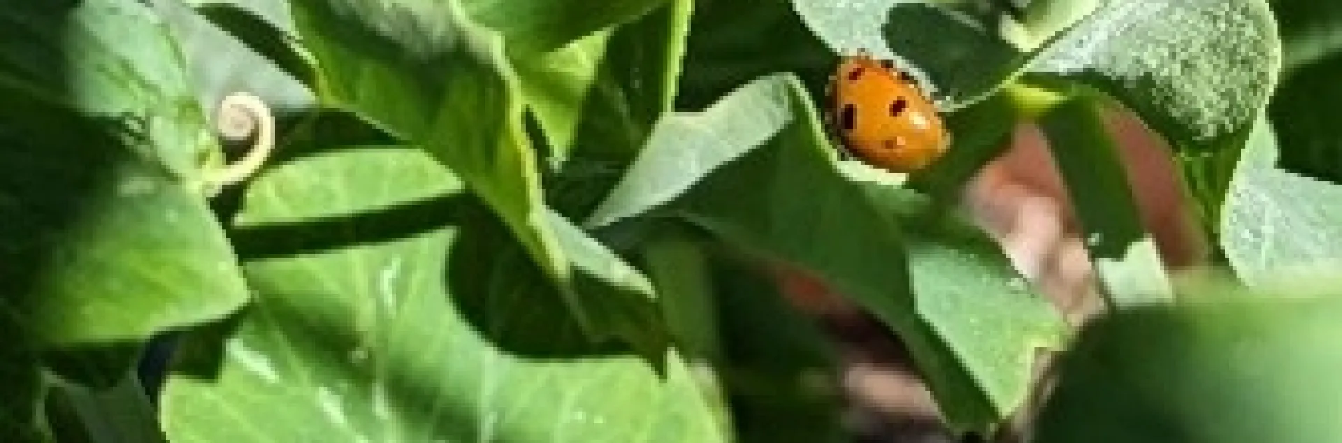 photos by Nanelle Jones-Sullivan