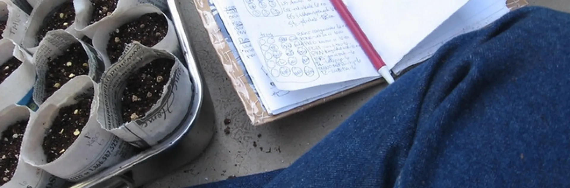 seed starting - recording in my garden journal by henna lion is licensed under CC BY-NC 2.0.