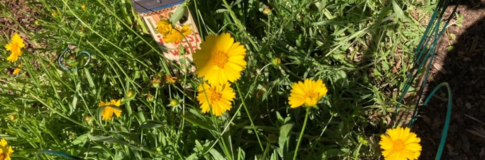 photo by Michelle Davis