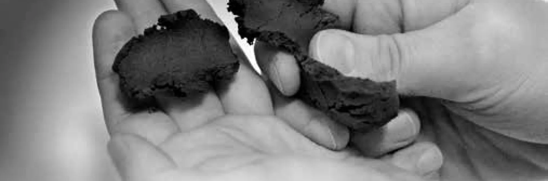 Soil Texture By Feel KSU mf2852