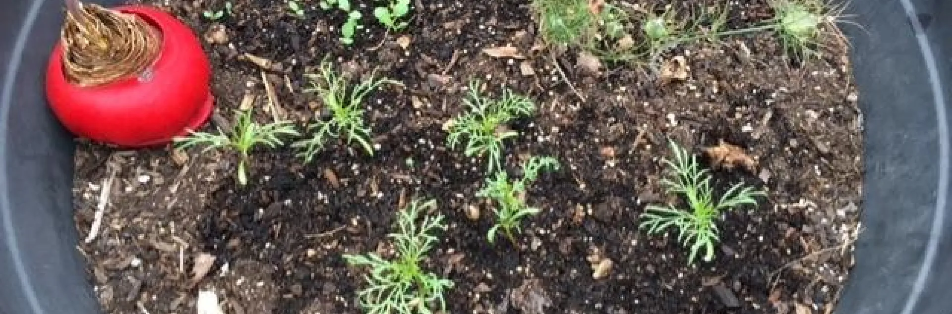 photo by Heather Hamilton