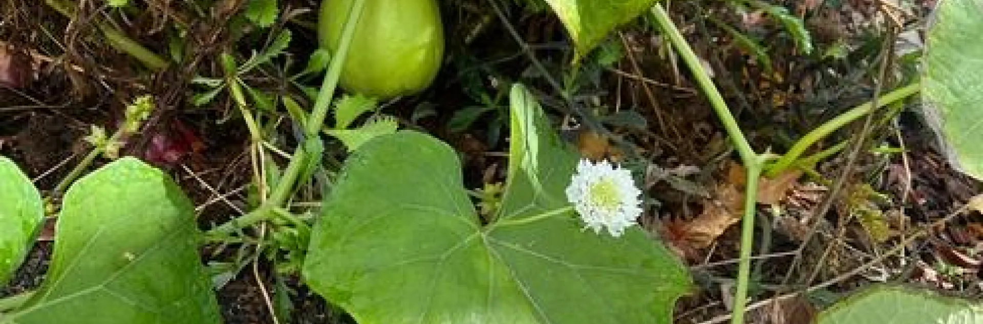 photos by Erin Mahaney