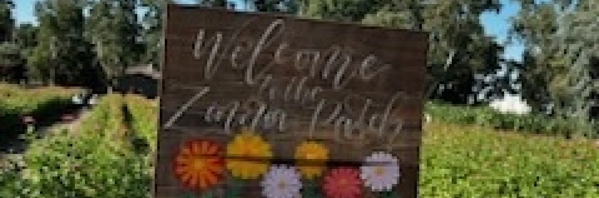 photos by Jennifer Baumbach