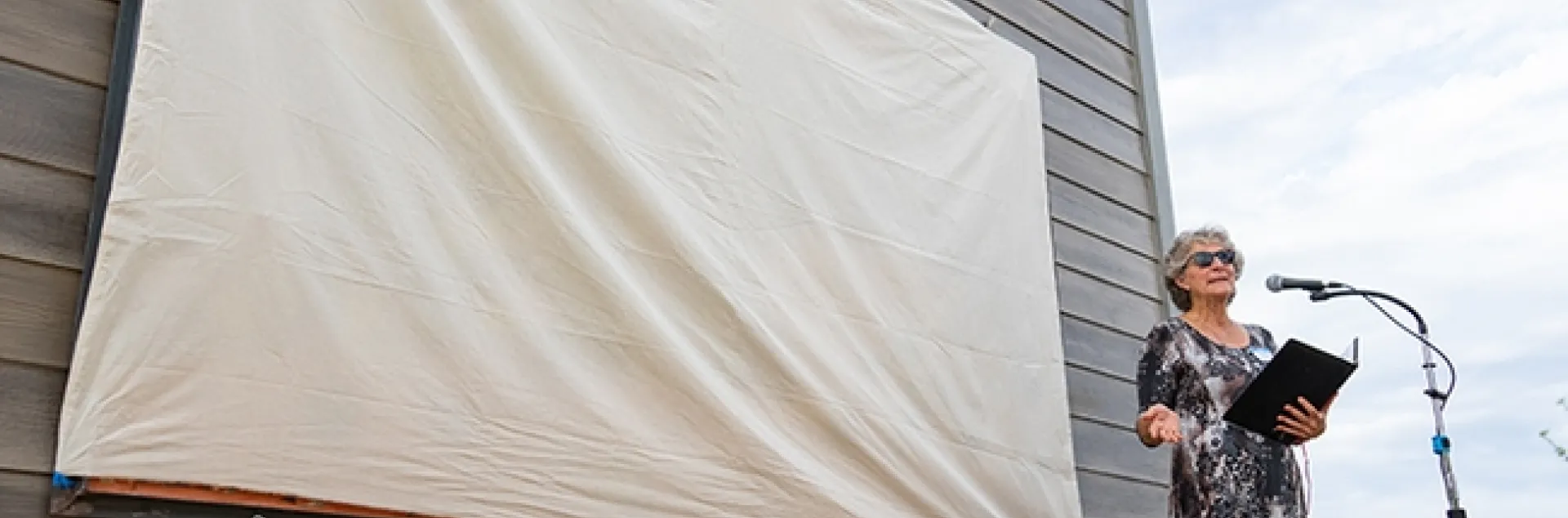 UC Davis distinguished professor Diane Ullman addresses the crowd at the Matthiasson Winery. The mural is about to be unveiled. (Photo courtesy of Jael Mackendorf, UC Davis College of Agricultural and Environmental Sciences)