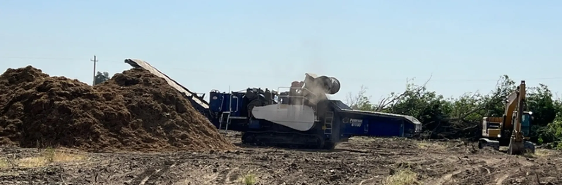 Wood chip pile resulting from whole orchard recycling