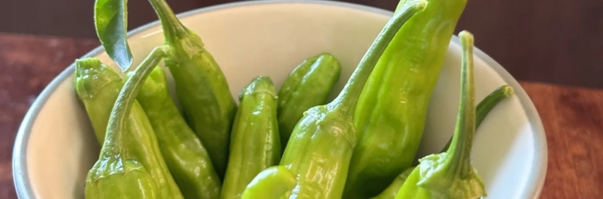 photos by Erin Mahaney