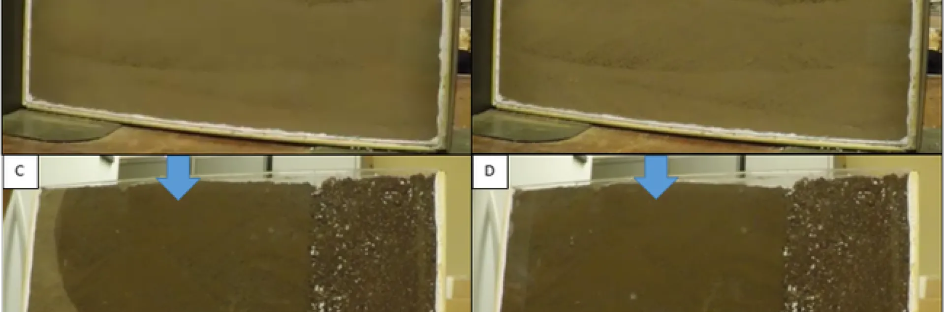 water movement all together