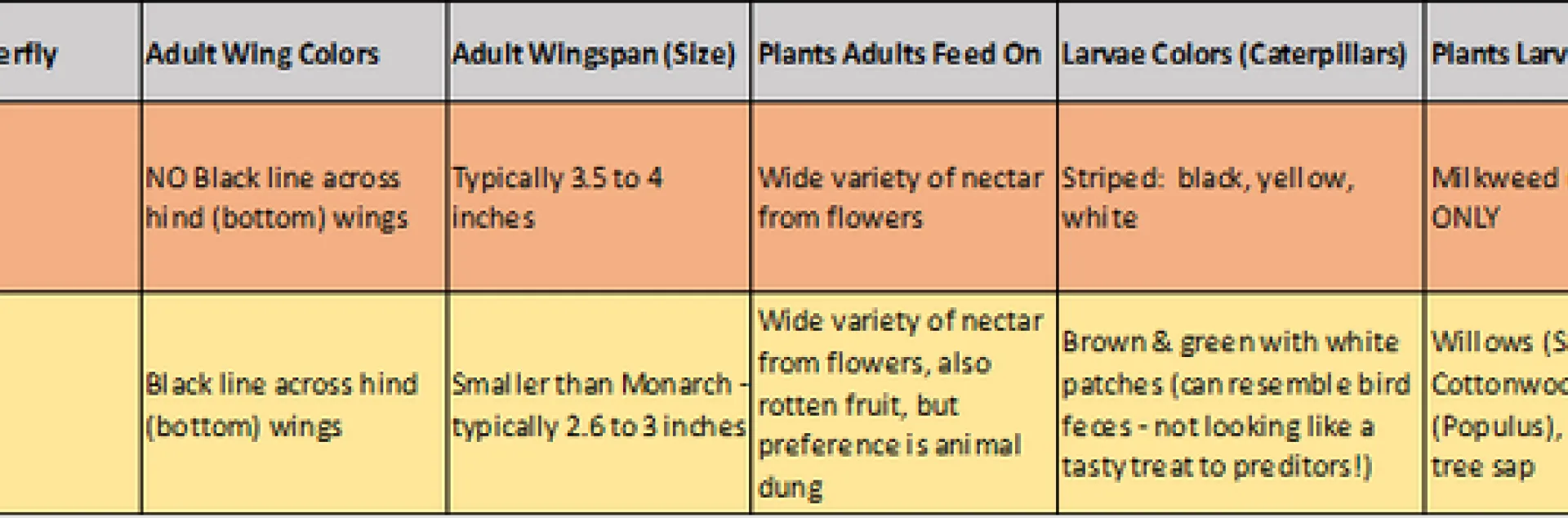 monarch viceroy graphic