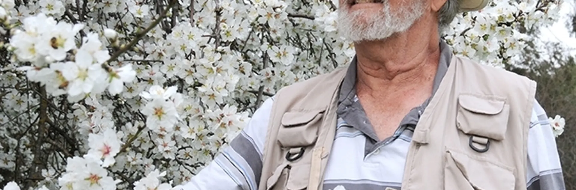 The legendary Robbin Thorp in front of an almond tree on Bee Biology Road, UC Davis campus. (Photo by Kathy Keatley Garvey)