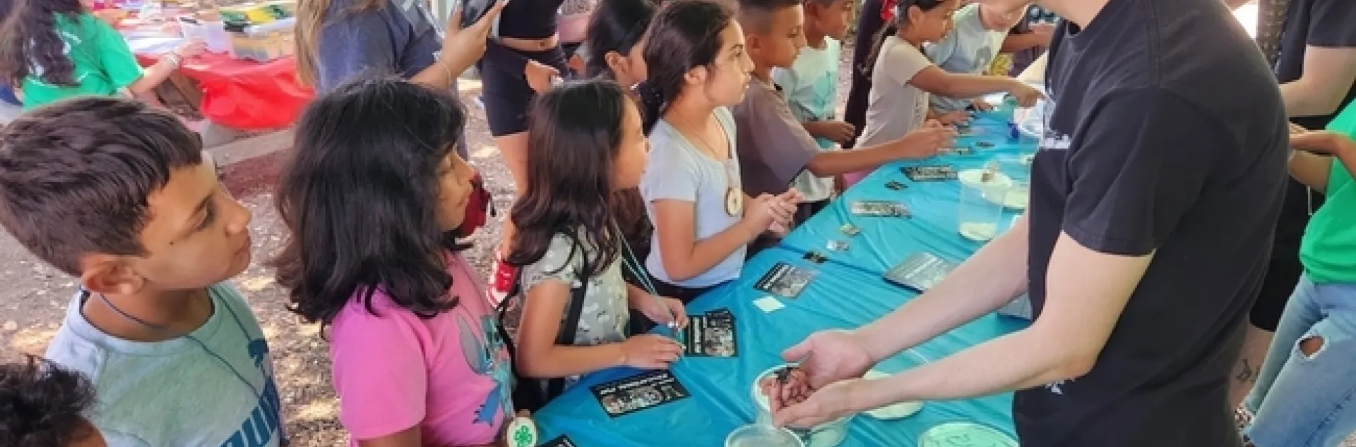 Las actividades de ciencias del medio ambiente en el campamento incluyeron el estudio de las arañas y muchos otros insectos. Todas las fotografías por Susan Weaver.