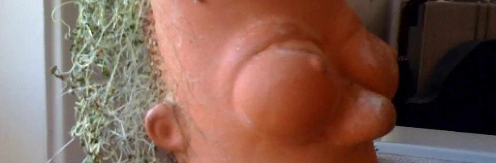 Chia Bart - Stephanie