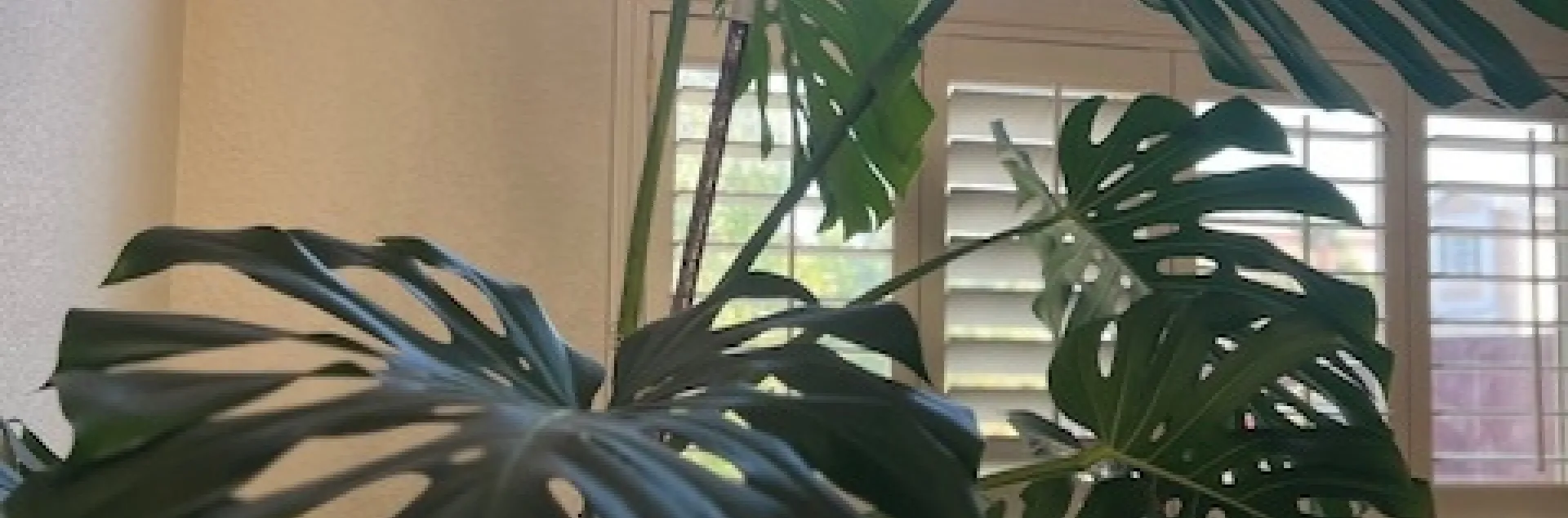 photos by Elvira Deleon