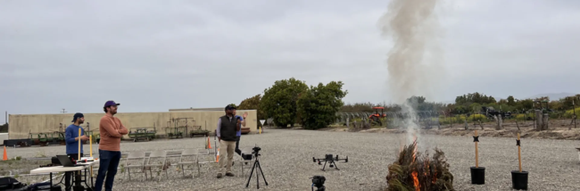 grupo de personas observando la queda de un arbusto seco