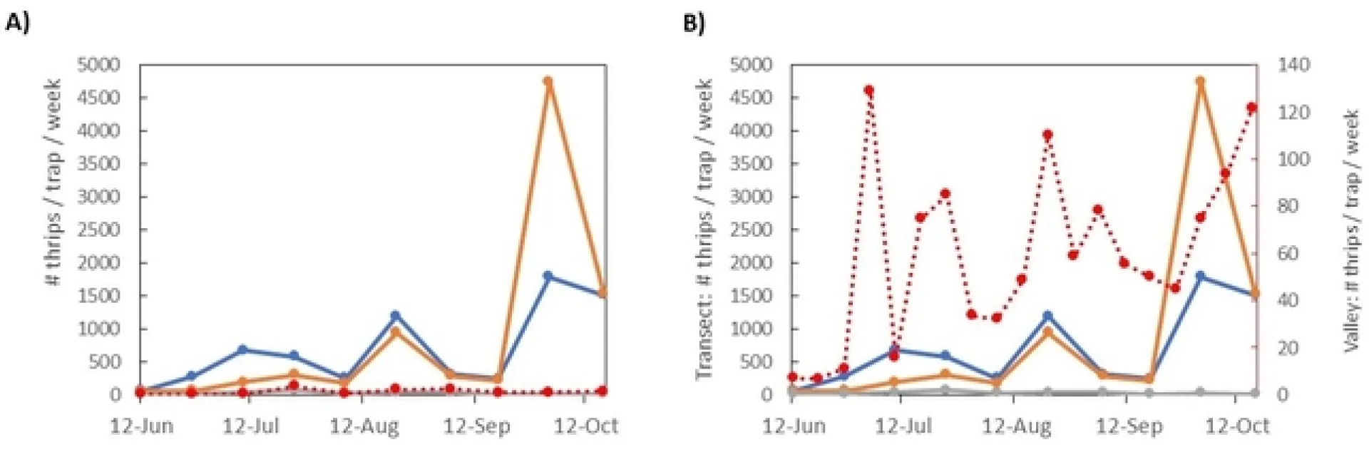 Figure 3. Average thrips per week collected on sticky traps from the hill transect (blue = traps at the top of the hill; orange = traps in the middle of the hill; grey = traps towards the bottom of the hill) and from nearby traps on ranches in the Salinas Valley (dotted red line). In A) the y-axis scale is the same for transect and valley counts while in B) the Valley Scale is adjusted to better compare the population trends between the two sets of data.