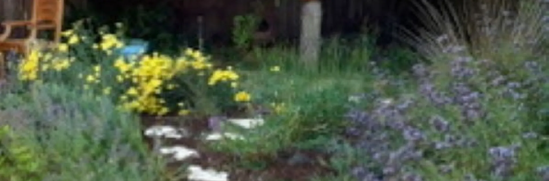 Photo credit Peggy McConnell 4