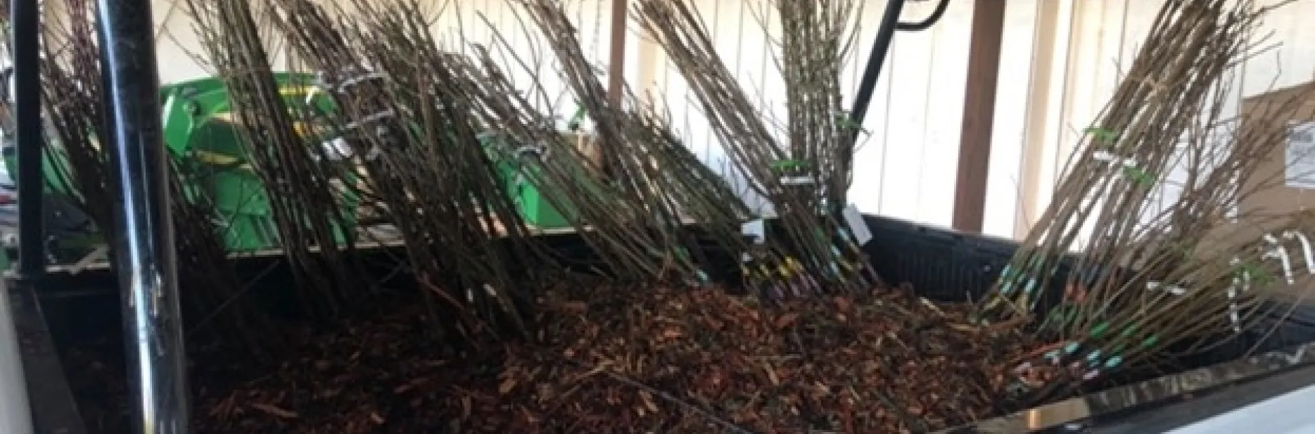 photos by Matt Wilke