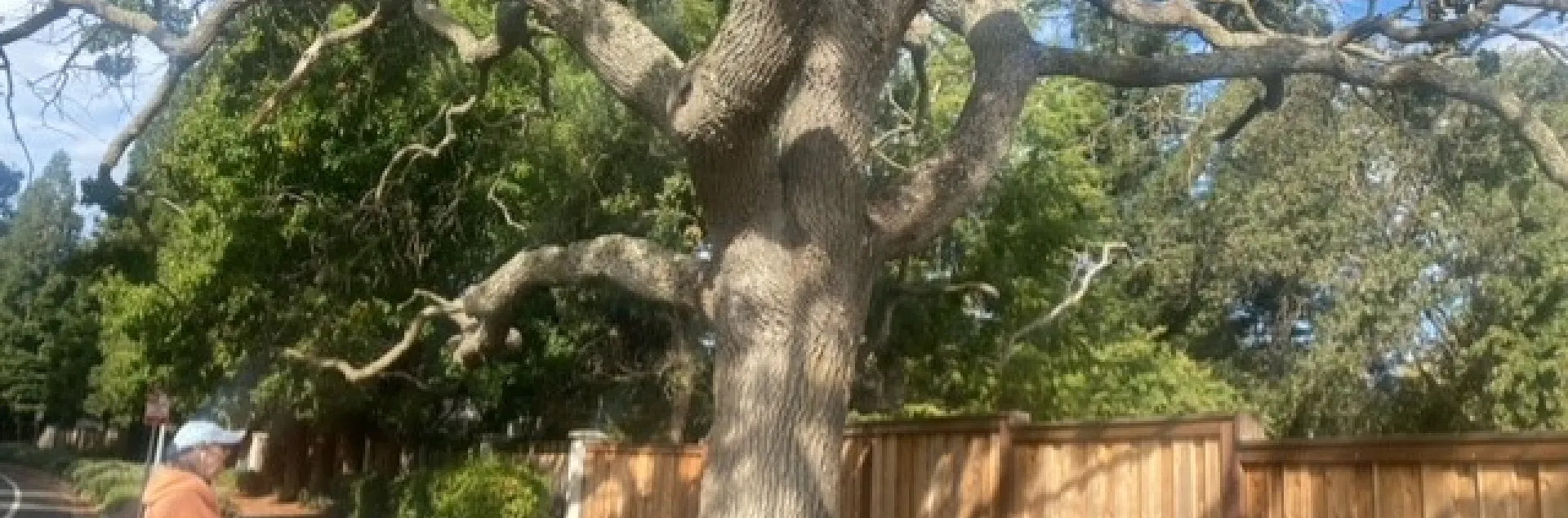 photo by Mike Gunther