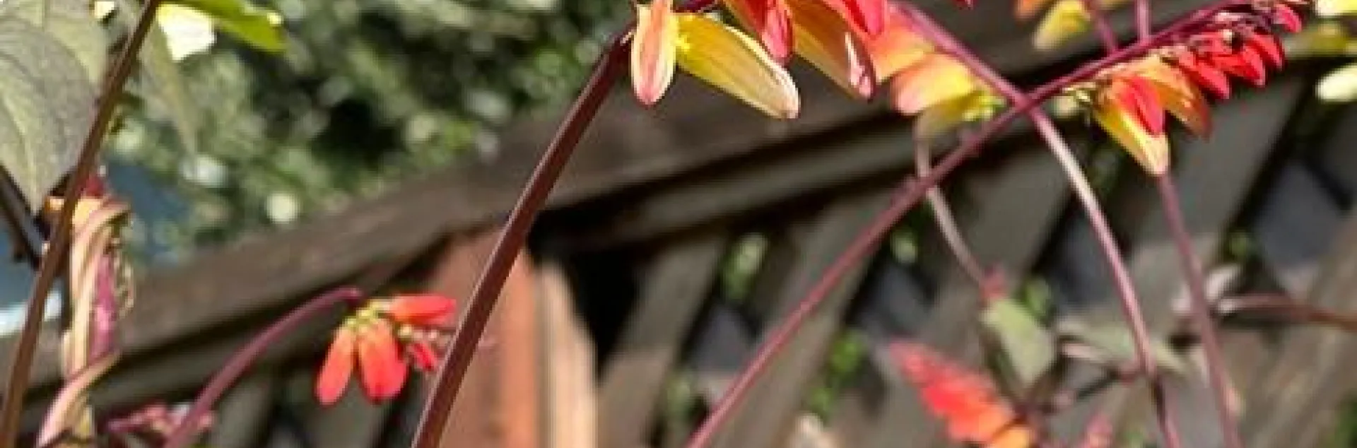 photos by Erin Mahaney