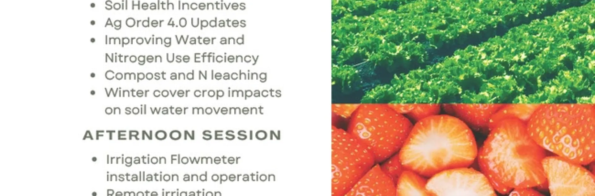 1699385688184-b7678dfe-37ca-4187-b887-cec08c2a072c 1[1]