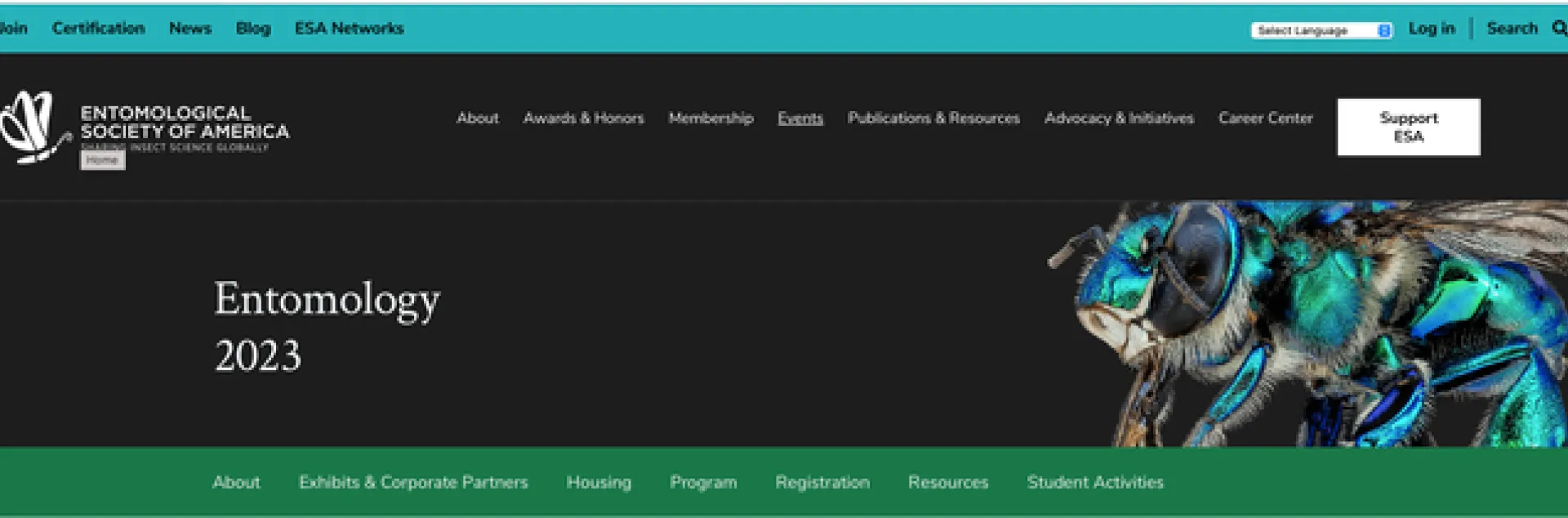 An image from the Entomological Society of America's website.