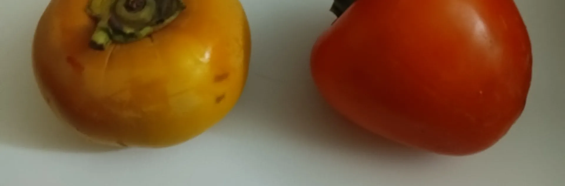 Non-astringent and astringent persimmon. photo by Kathy Low