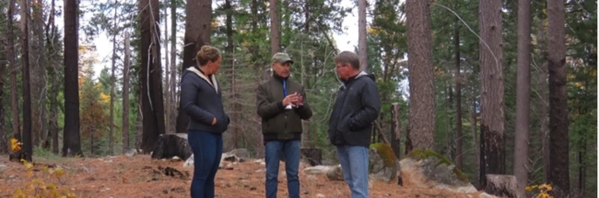 Three people standing in a forest.