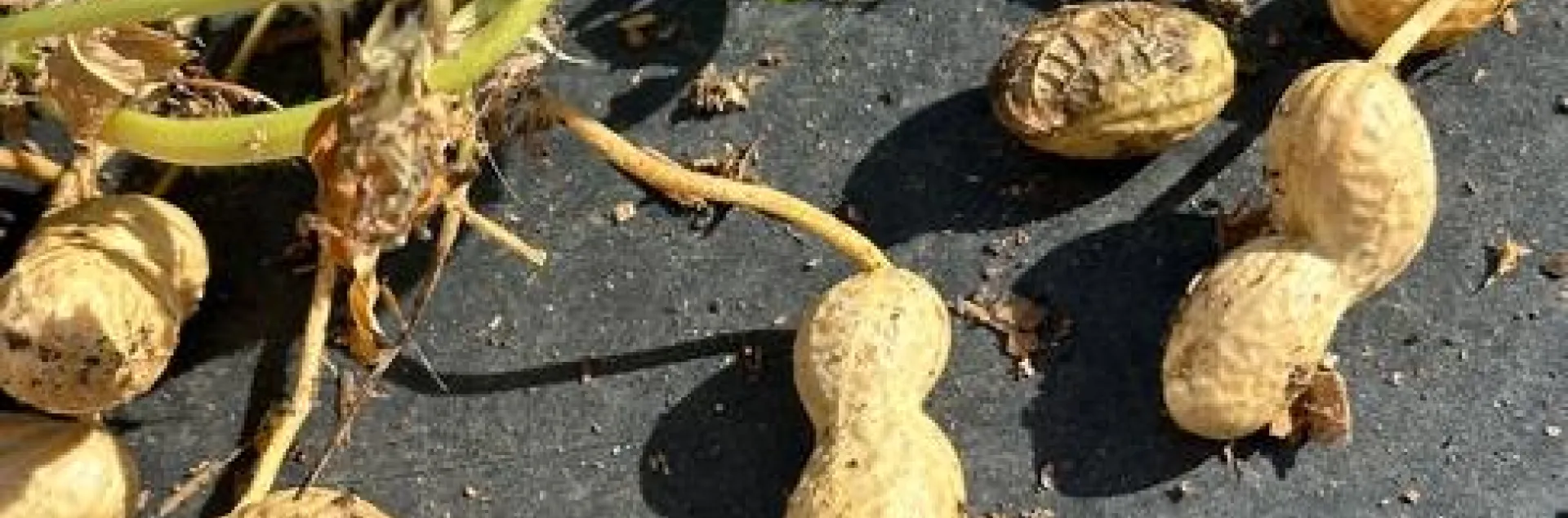 photos by Erin Mahaney