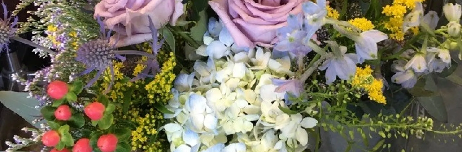 photos by Heather Hamilton