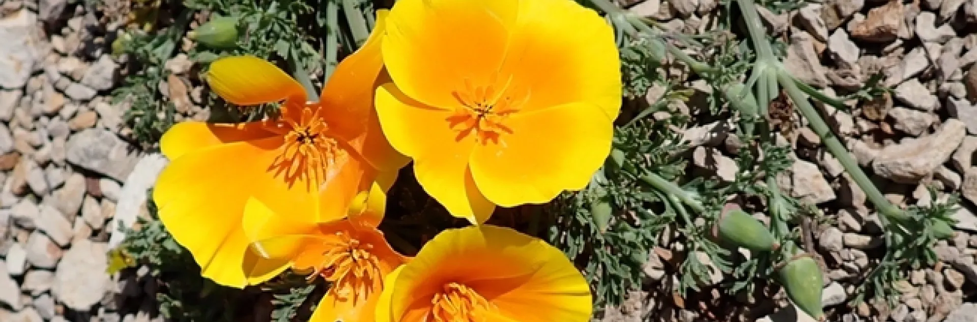 photo by Michael Zeiss