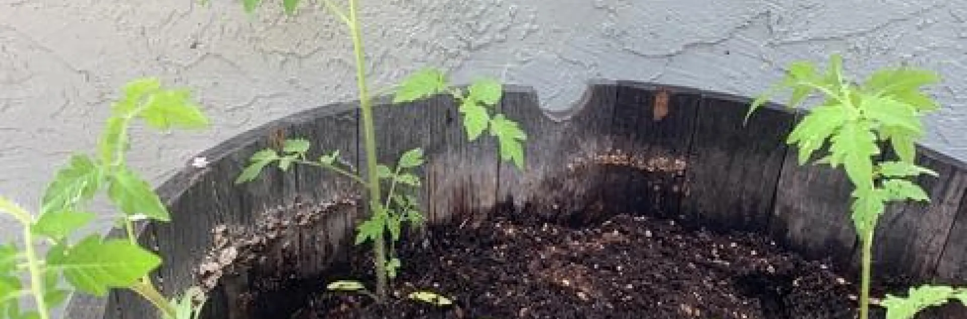 photos by Jennifer Ward