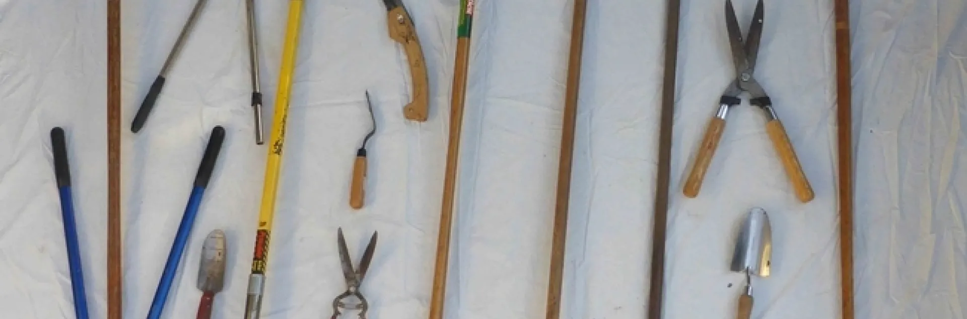 An assortment of tools including pruners, shovels, and hoes.