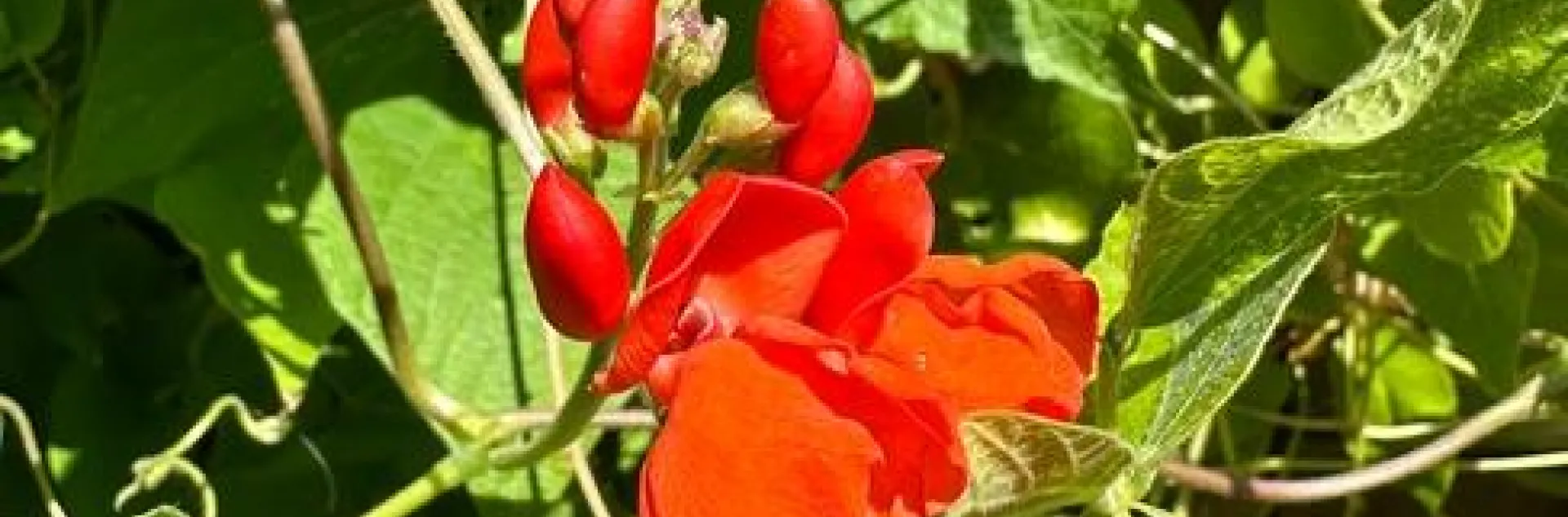 photos by Erin Mahaney