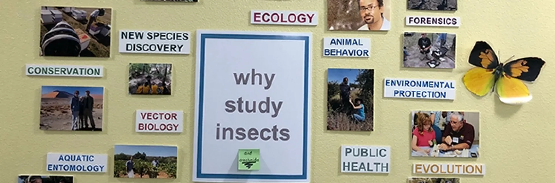 A poster outside the Bohart Museum of Entomology, located in the Academic Surge Building, 455 Crocker Lane, UC Davis. (Photo by Kathy Keatley Garvey)