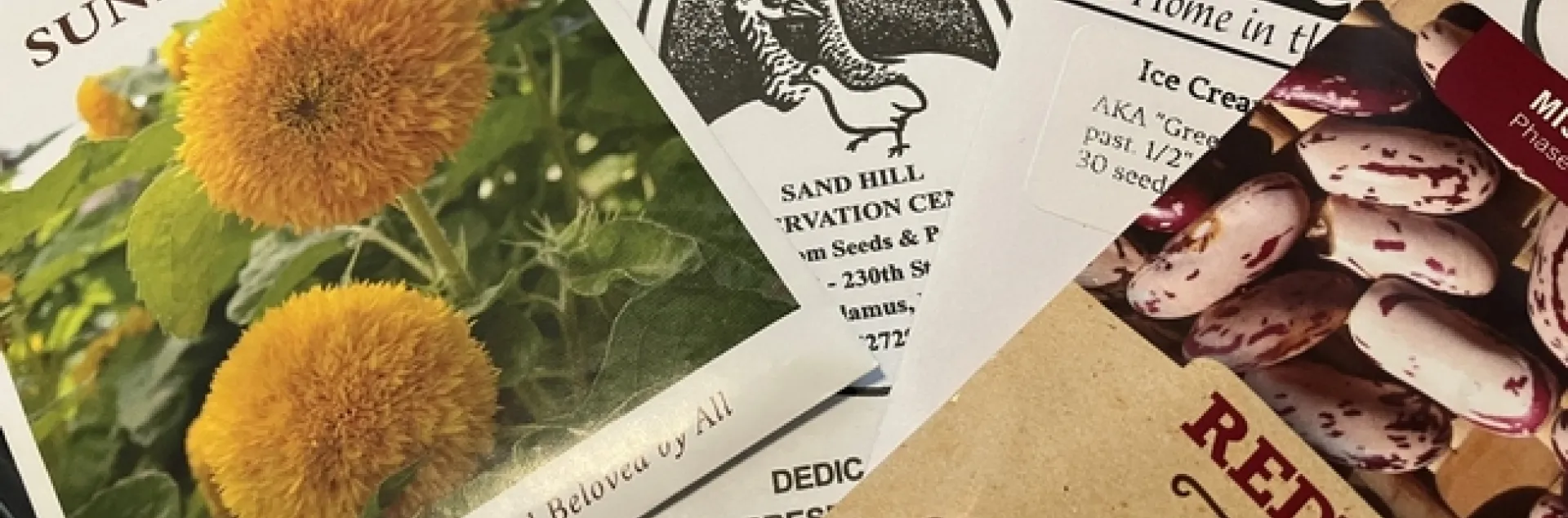 photo by Alex Russell