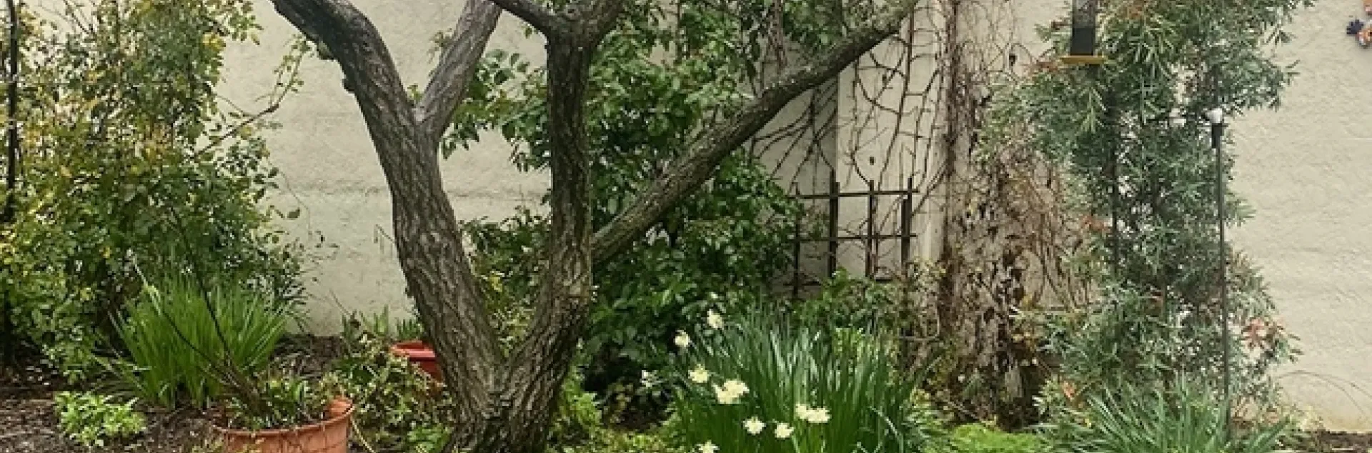 photo by Mike Gunther