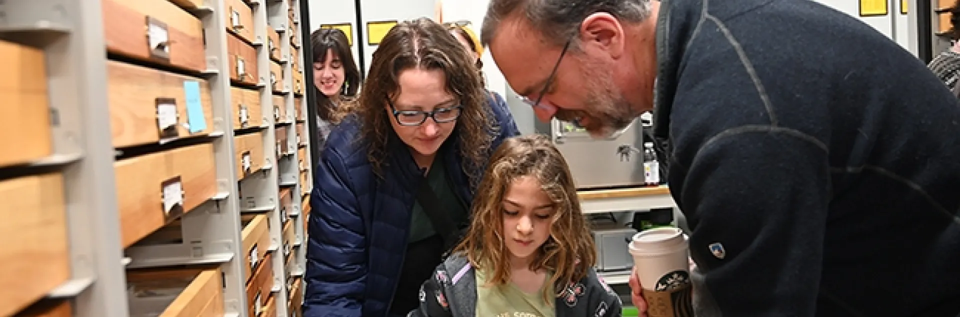 UC Davis professor Jason Bond, director of the Bohart Museum of Entomology, shows butterly specimens to Woodland residents Olive Smith, 8, and her mother Sarah Smith. (Photo by Kathy Keatley Garvey)