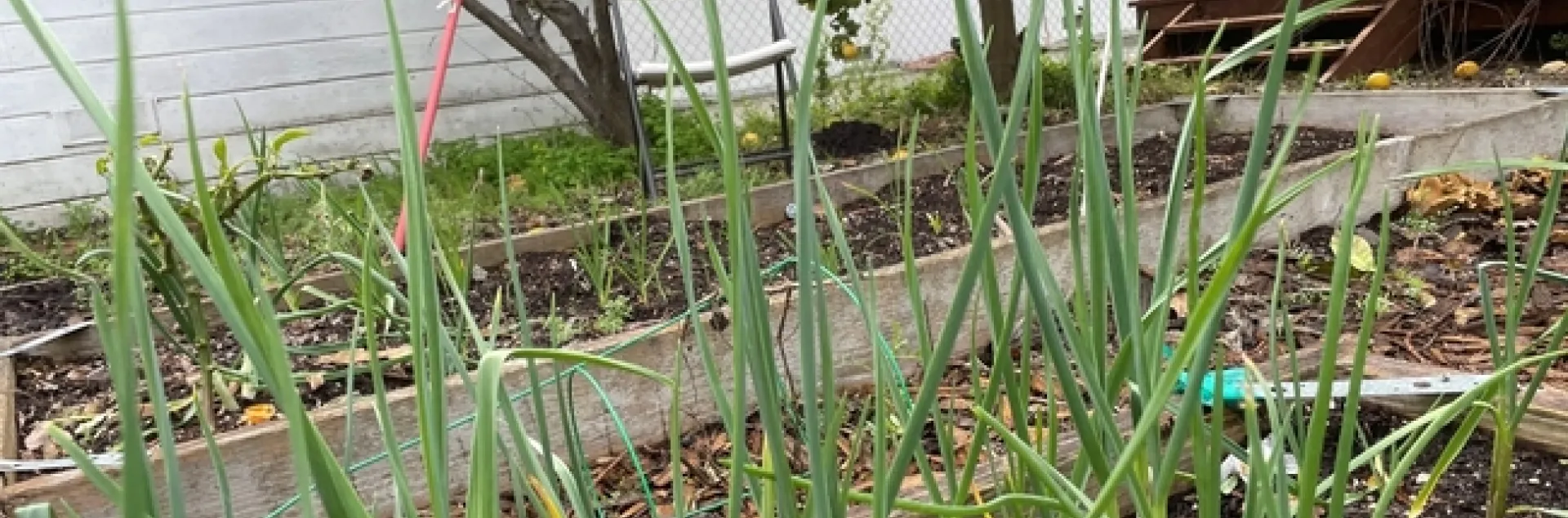 photos by Brenda Altman