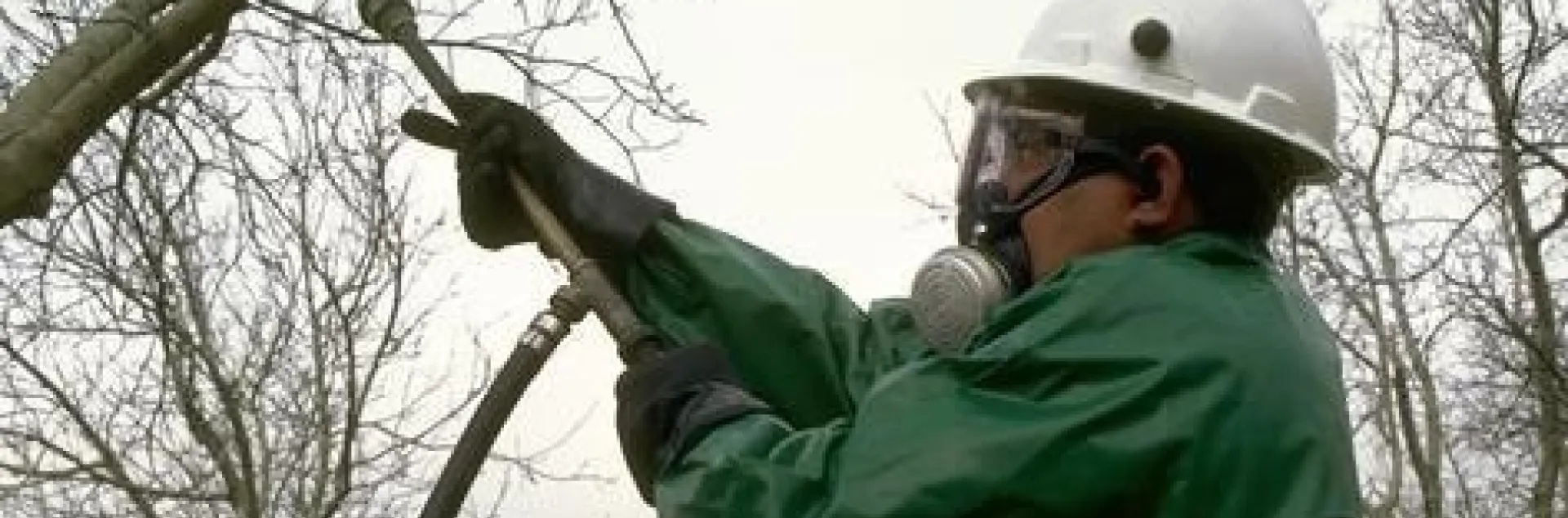 Person in protective gear applies pesticide to a tree.