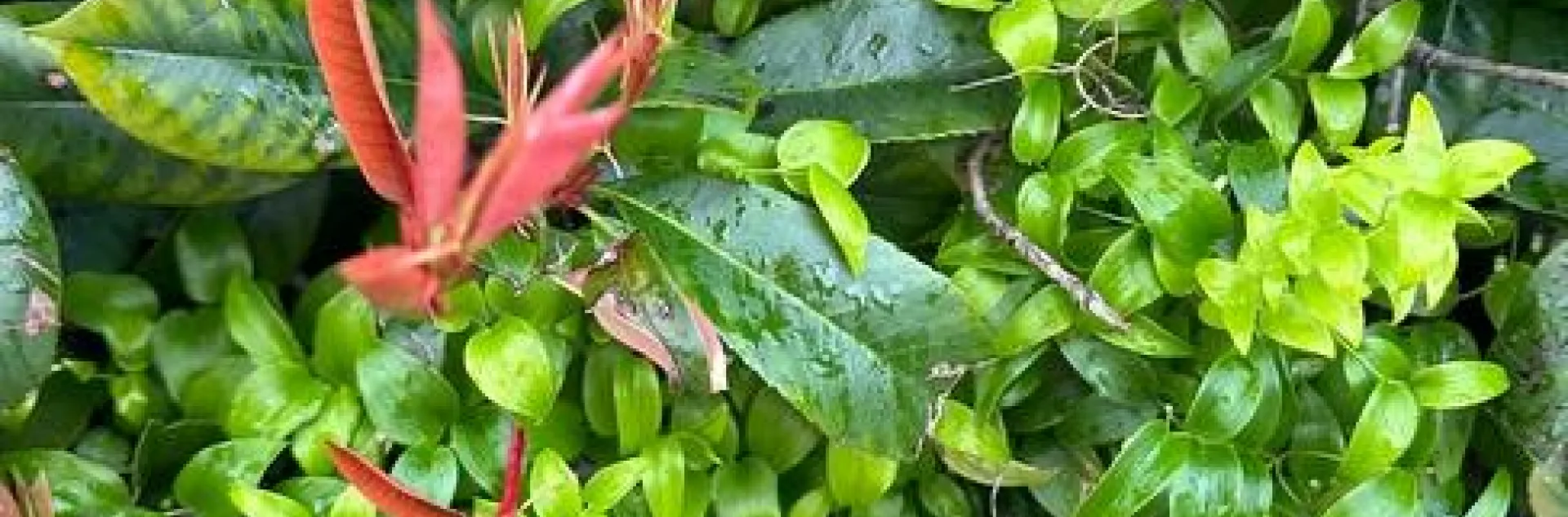 photos by Erin Mahaney